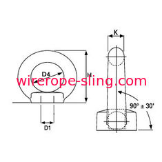 LÄRM Standardmarinetakelungs-Hardware Ringbolzen u. Eyenuts für anhebendes Material